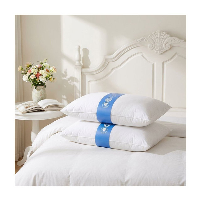 2 Pack Goose Down Pillows – Queen Size Bed Pillows for Sleeping, Includes 2 Pack Soft Cotton Covers
