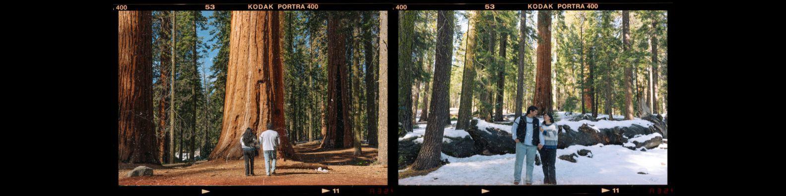 The Wedding Website of Lorena Sanchez and Dan Sims