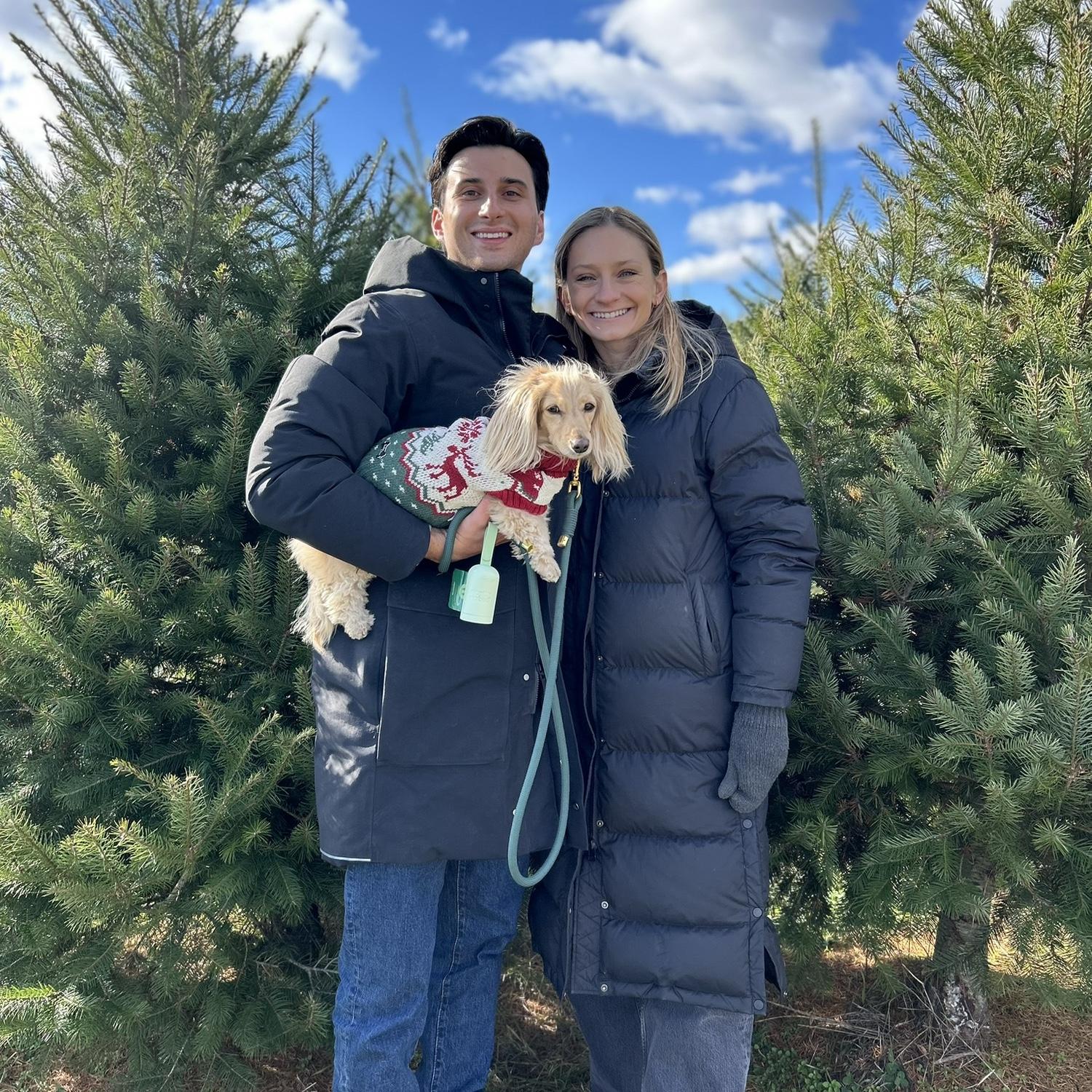 Tree Chopping Day November 2025