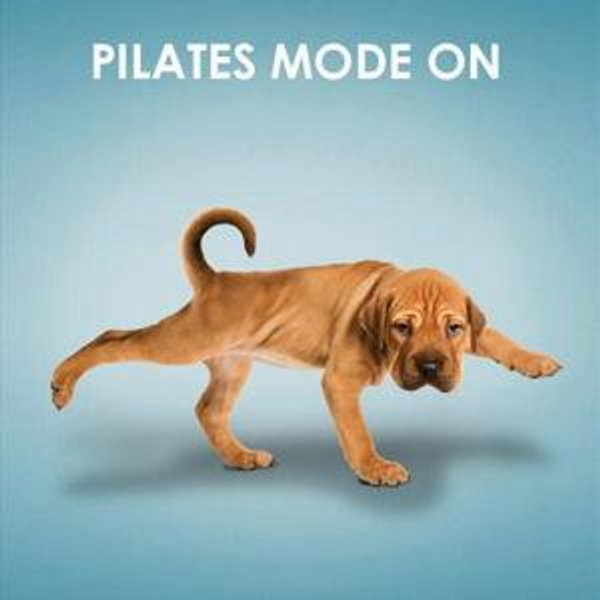 Pilates for Back Pain LOL