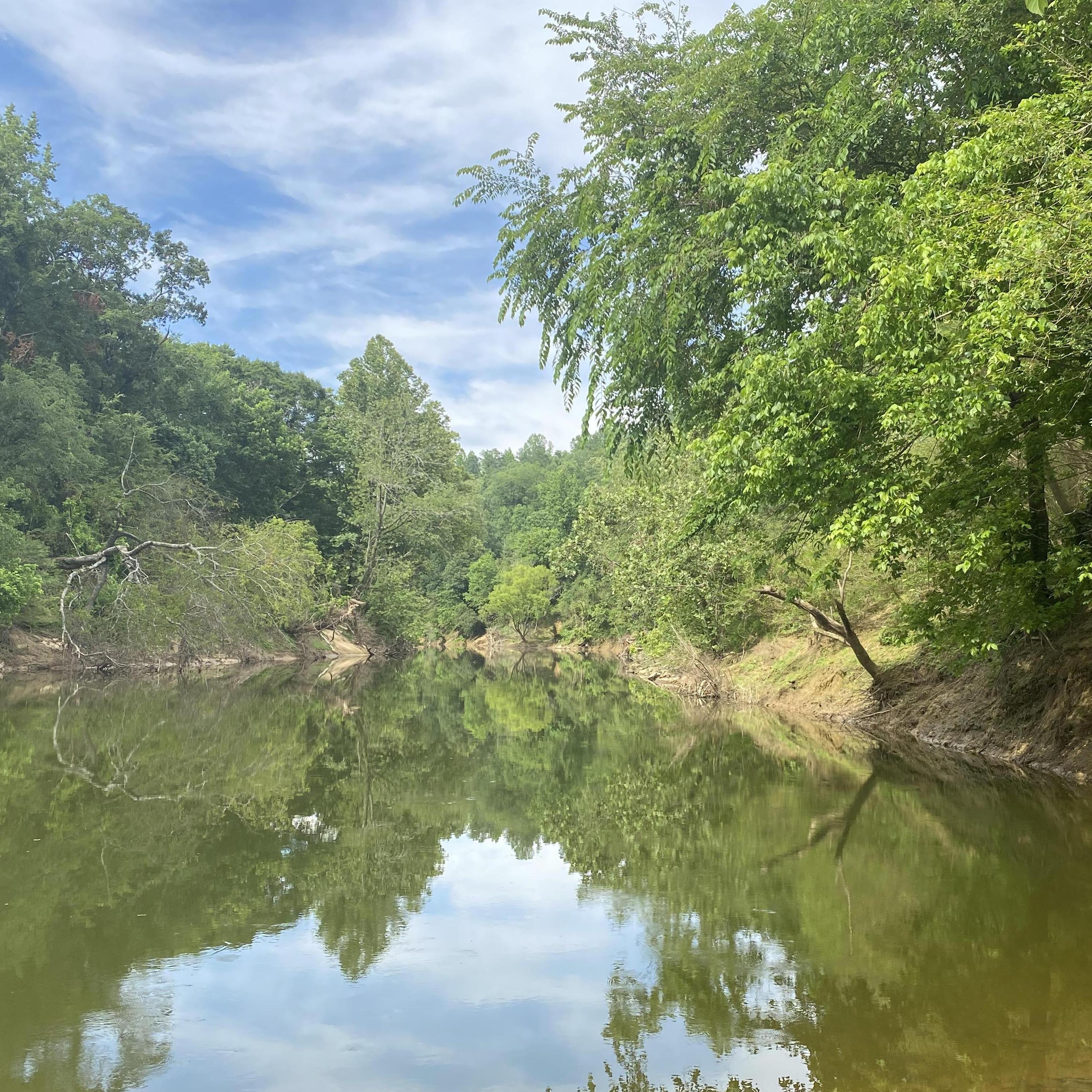 A small stretch of the Locust Fork River...our stretch!