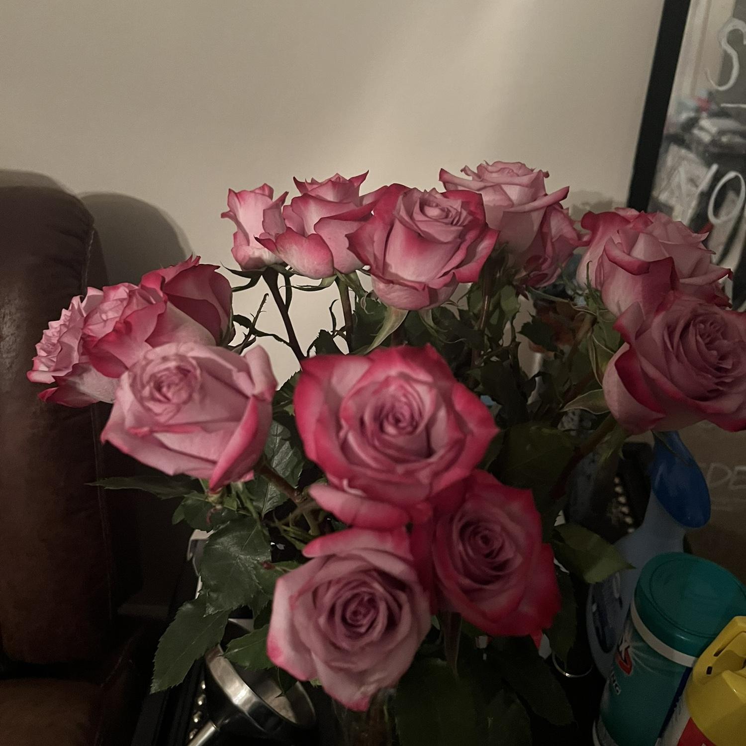 All the flowers he bought me our time together💐(There are more I just forgot to get pictures of)