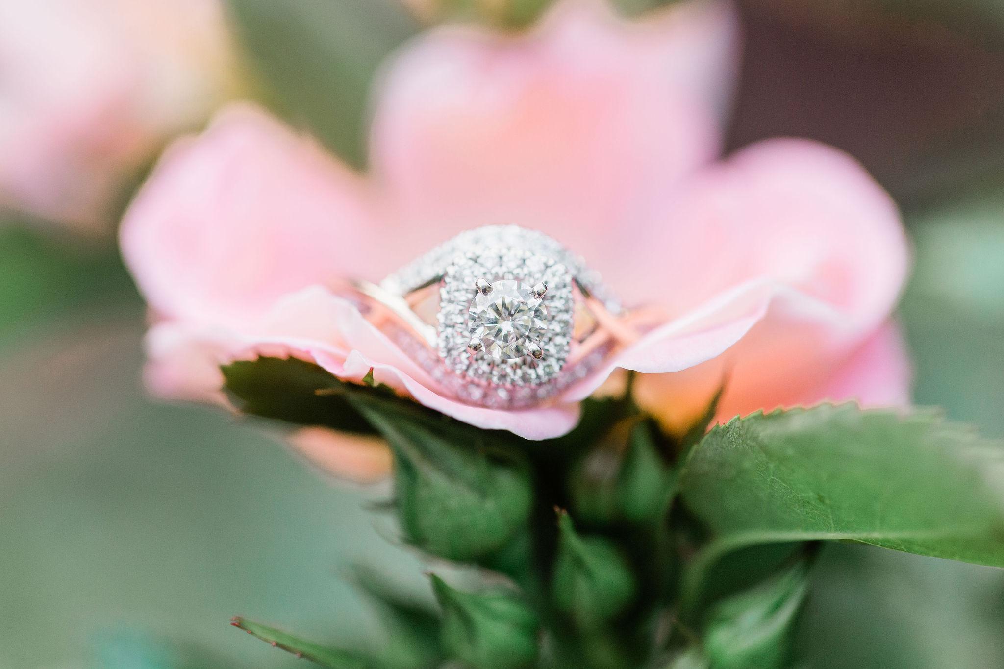 The Wedding Website of Briana Brown and Odaine Hudson