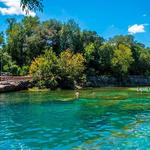 Barton Springs Pool