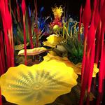 Chihuly Garden and Glass