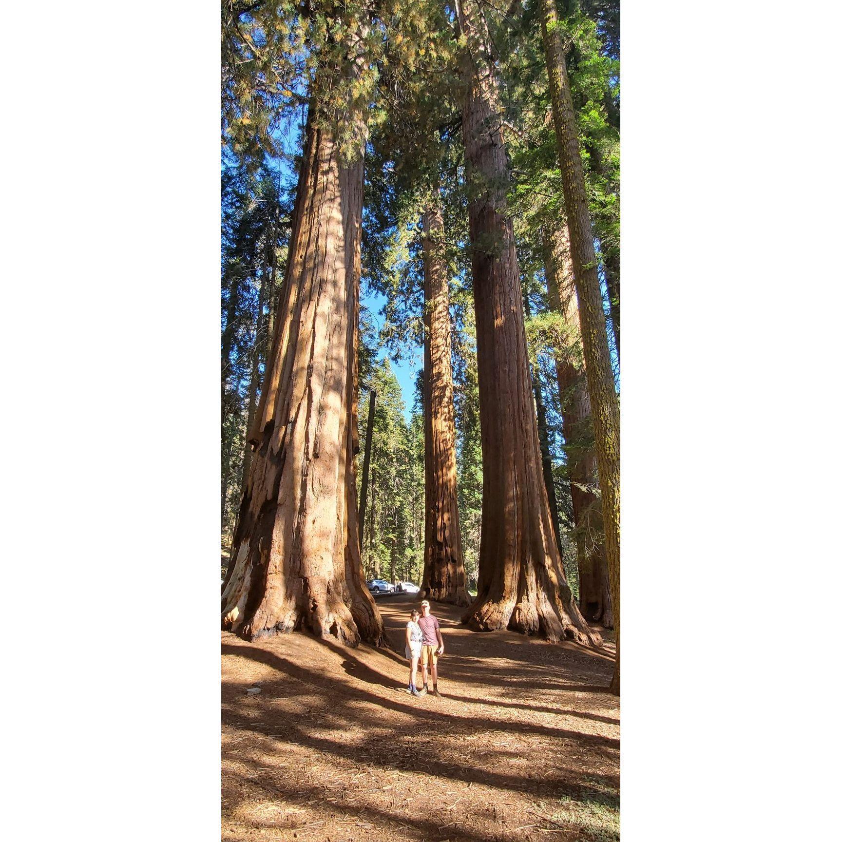 Yosemite / Sequoia trip - Summer 2019