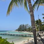 Visit the Island of Utila