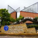 Tennessee Aquarium