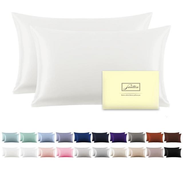 Silk Pillow Cases 2 Pack Soft Breathable and Sliky Queen Size Pillow Cases Set of 2,Natural Mulberry Satin Silk Pillowcase with Hidden Zipper for Hair and Skin (Ivory,20"X 30",2pcs)