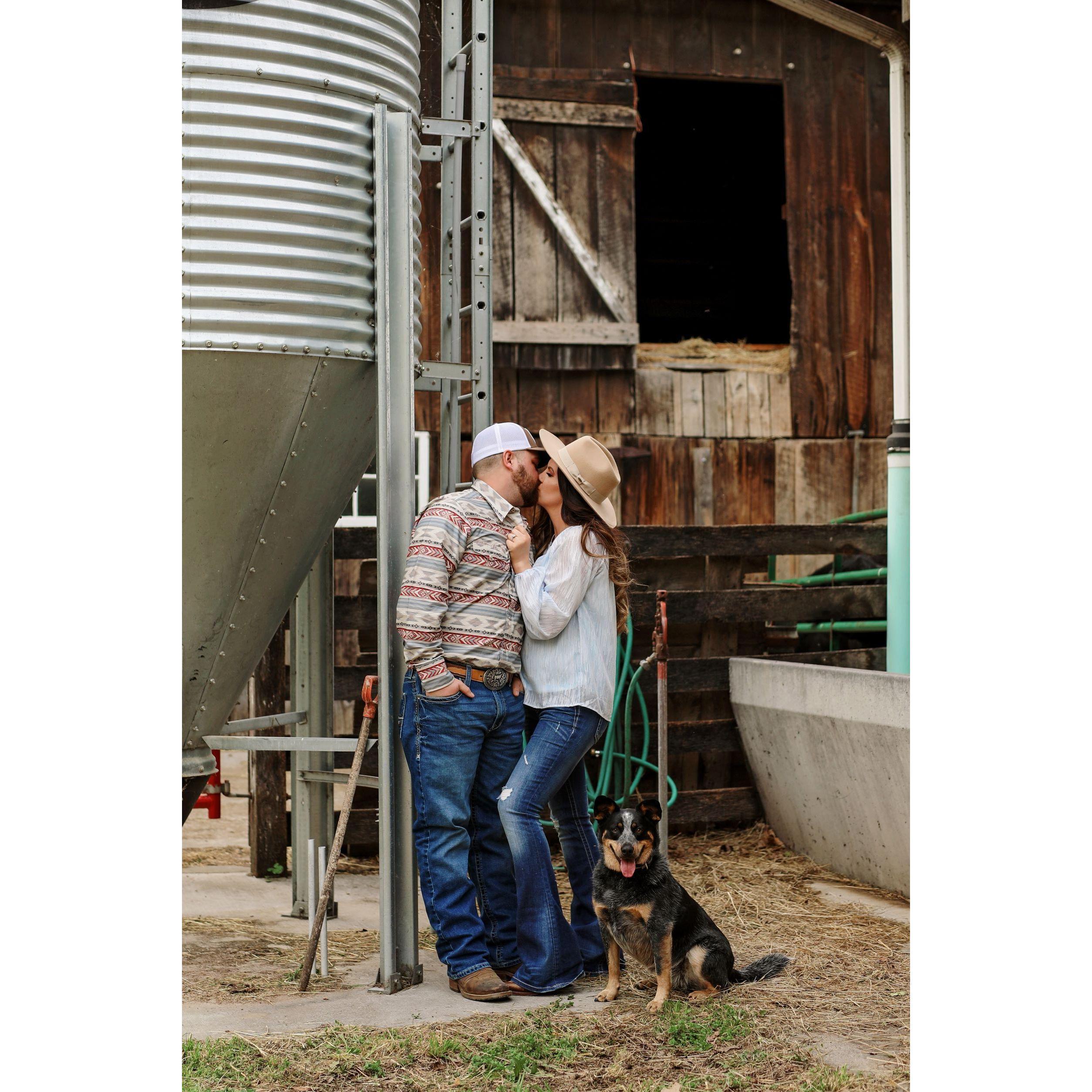 Engagement pictures!
