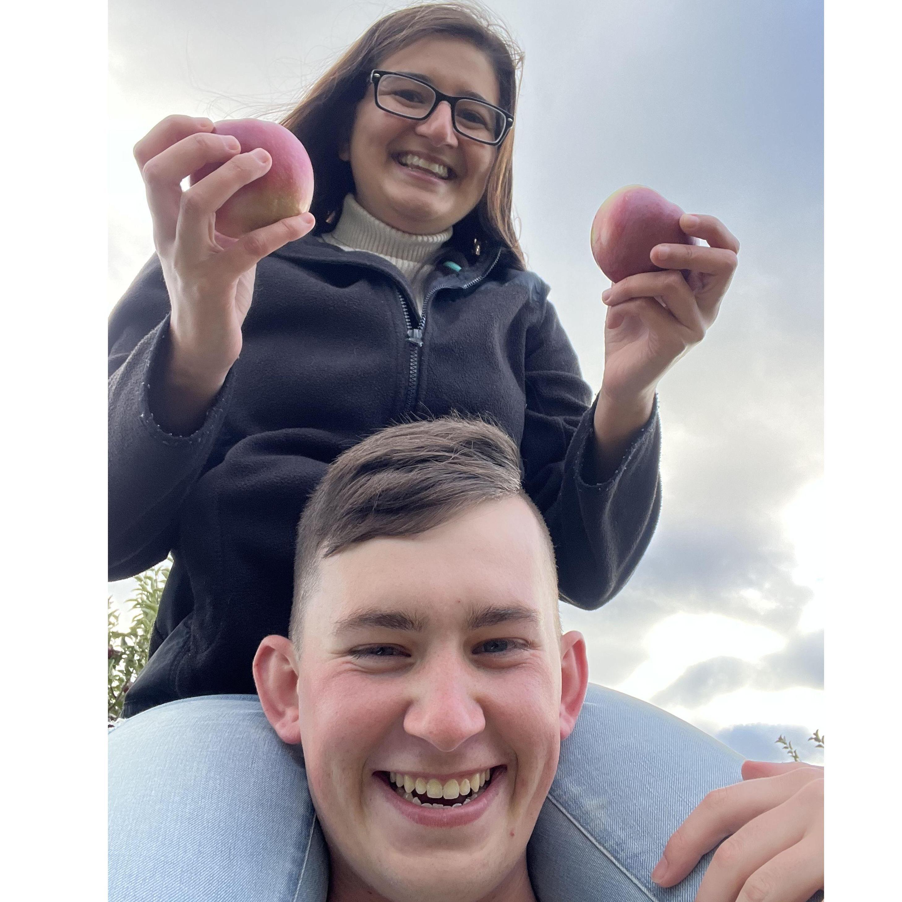 Apple Picking at Carter Hill