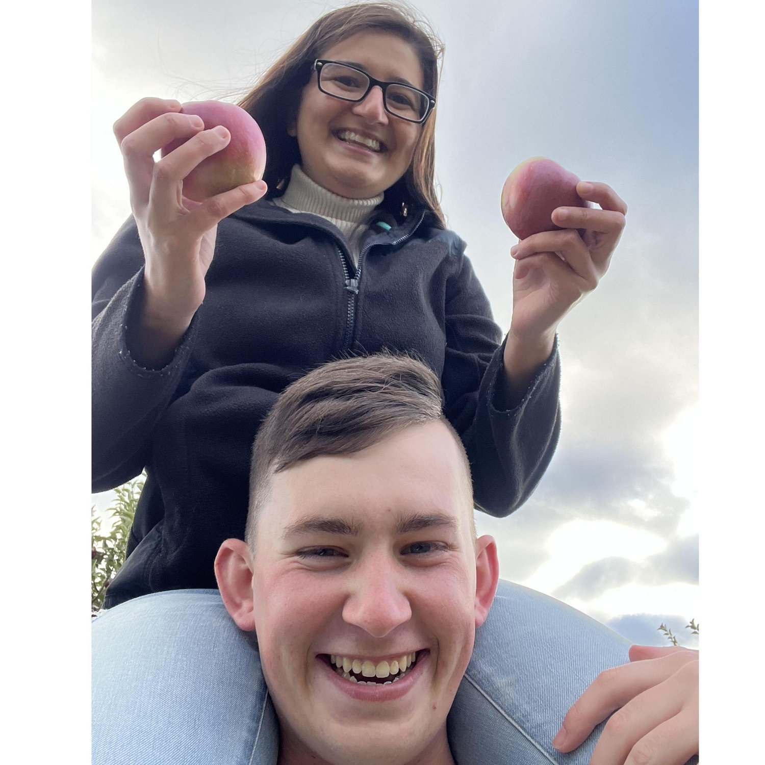 Apple Picking at Carter Hill