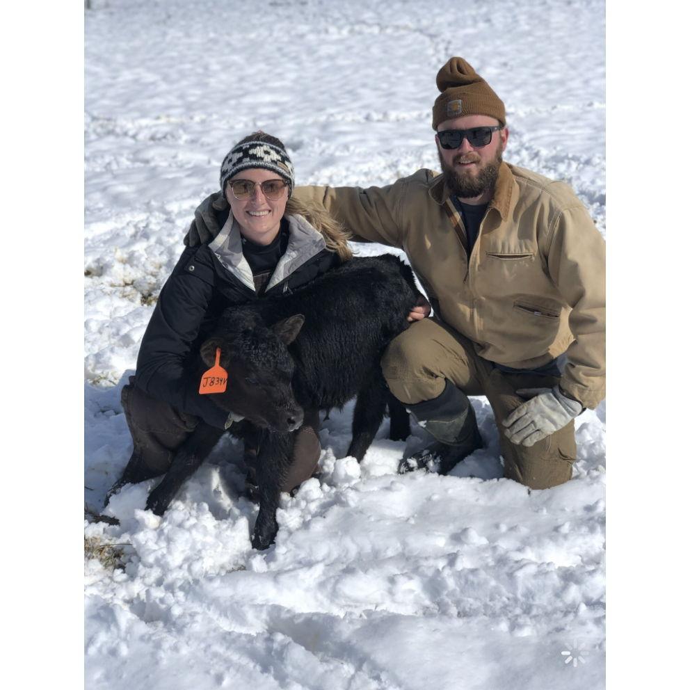 Cody helping me check on the first calf I ever delivered via C-section.