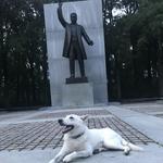 Roosevelt Island DC parkrun