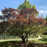 Aldridge Gardens