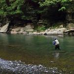 Catskill Fly Fishing Center and Museum