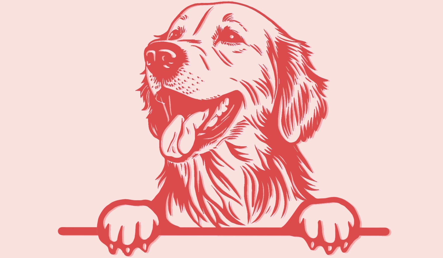 0aac47aa-5f4a-42c9-875c-903e0ca7197c