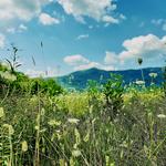 Cades Cove Scenic Loop