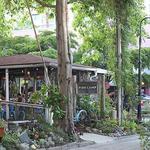 Owens Fish Camp