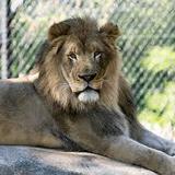 Henry Vilas Zoo