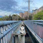Hot girl walk the Katy Trail