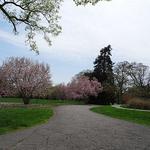 Bellevue State Park
