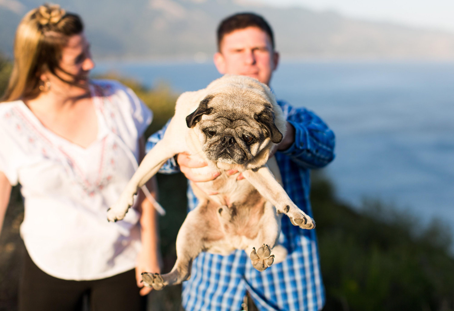 The Wedding Website of Whitney Vest and Marshall Payne
