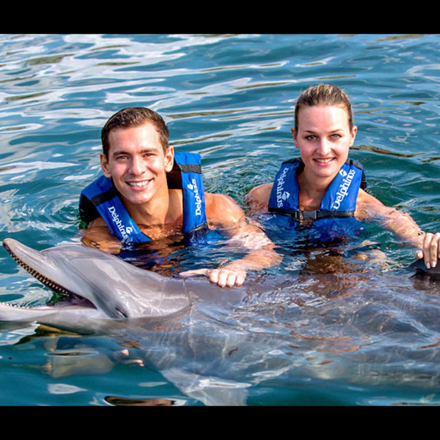 Dolphin Encounter Adventure