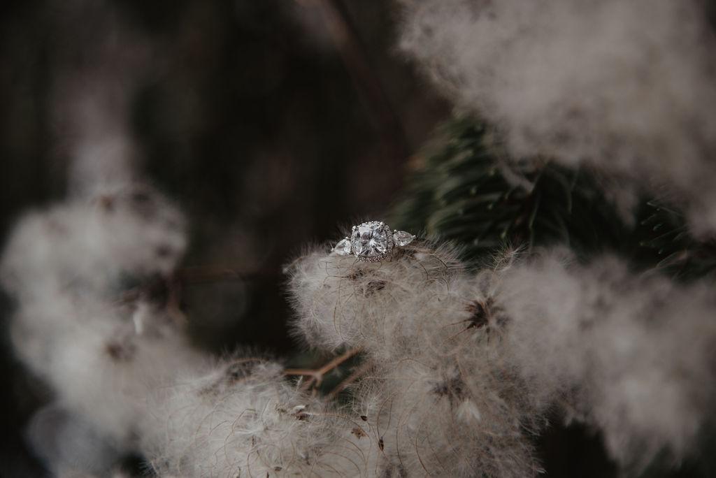 The Wedding Website of Alexandra Rounds and Philip Price