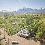 BIG B'S DELICIOUS ORCHARDS