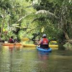 Nadodi Kayaking in Alleppey