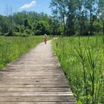 Stiglmeier Park