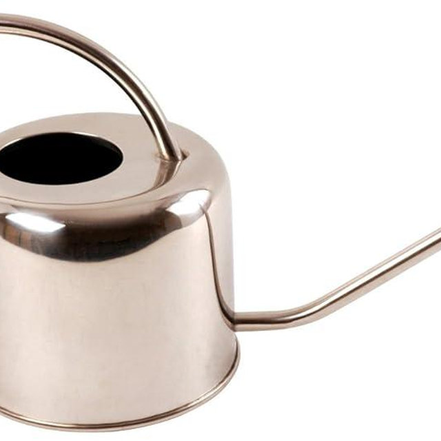 Esschert Design Stainless Steel Watering Can Modern Style, Small