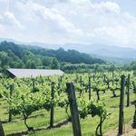 Silver Fork Winery
