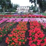 Annual Flower Trial Garden