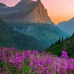 Glacier National Park