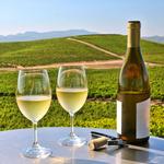 Napa Wine County