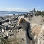 Discovery Park