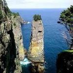 East Coast Trail