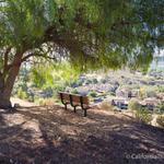 Conejo Valley Botanic Garden