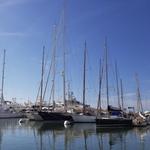 Harbor of Viareggio