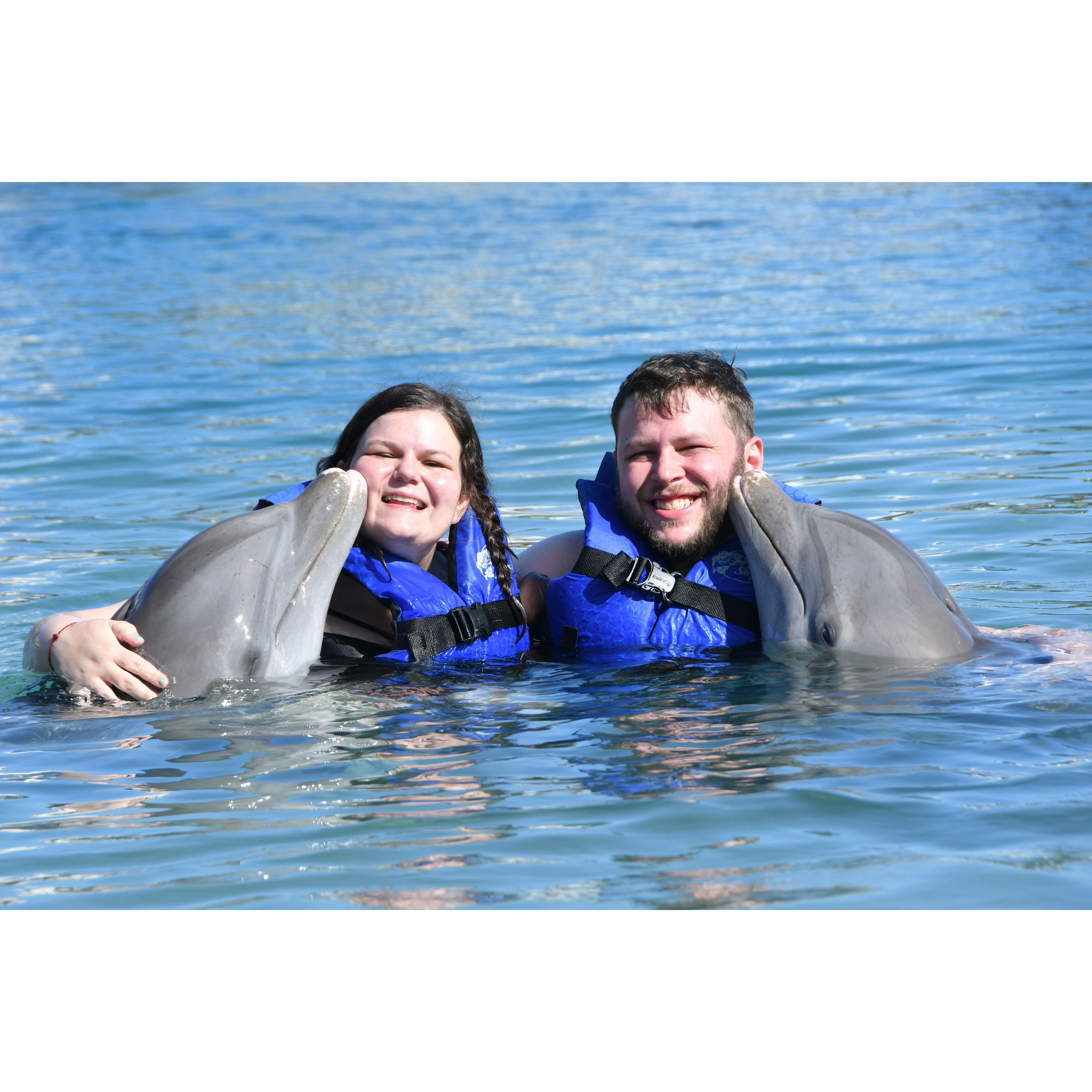 Dolphins!