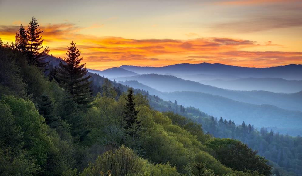 The Wedding Website of Bailey MacDaniel and Dolan Funderburk