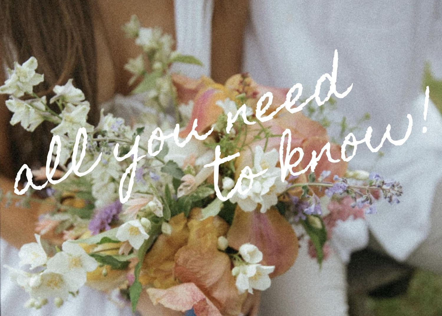 The Wedding Website of Krysta Maiorino and Steven Calvente