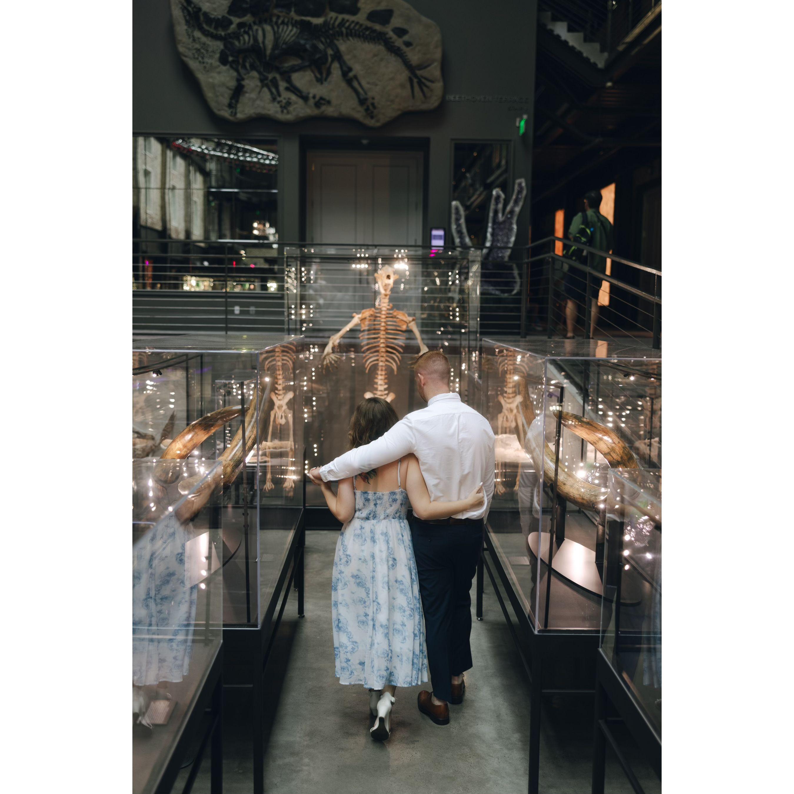 Engagement in Savannah 2024