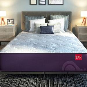 Big Fig Mattress Upgrade