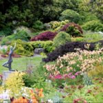 Mendocino Coast Botanical Gardens