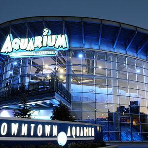 Denver Aquarium Membership