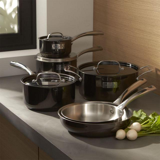Fleischer and Wolf London Titanium Stainless Steel 10-Piece Cookware Set