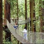 Sequoia Park Zoo